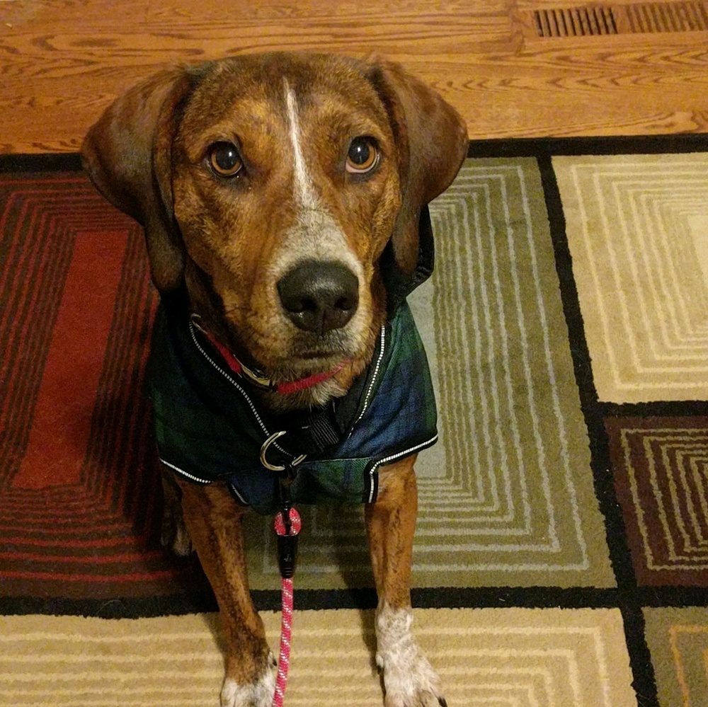 Meet your Posher, Valerie